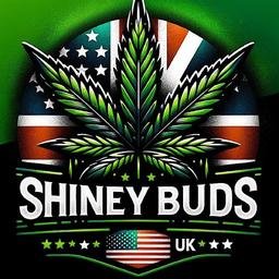 Tesseract Bot ShineyBuds