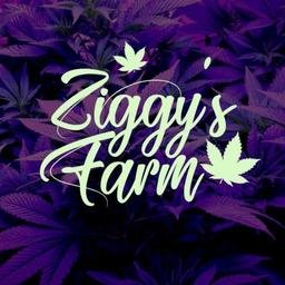 Tesseract Bot ZiggyFarmShop